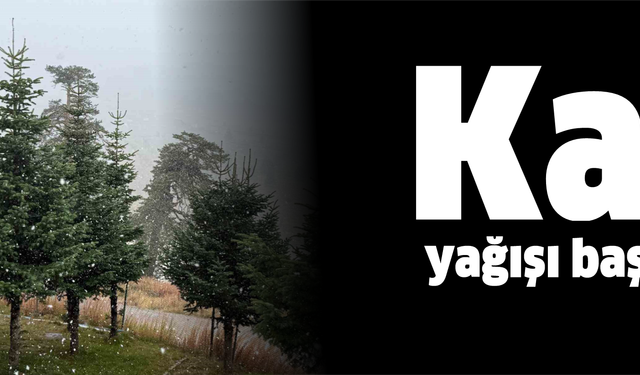 Bolu’da mevsimin ilk karı yağdı