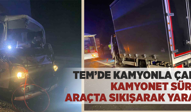 TEM’de kamyonla çarpışan kamyonet sürücüsü araçta sıkışarak yaralandı