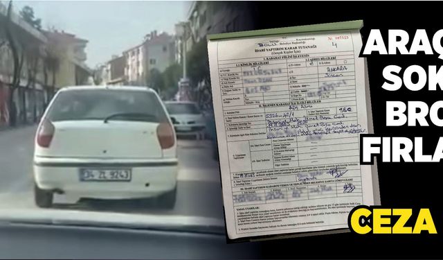 Araçtan sokağa broşür fırlatan kişi, ceza yedi