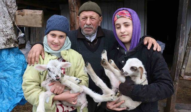 Bolu’da yaylalardan köylere göç başladı