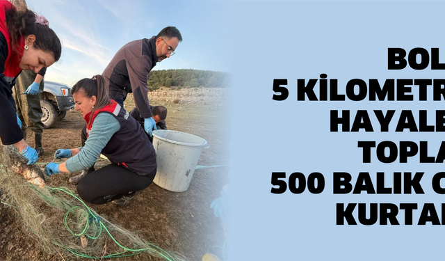 Bolu’da 5 kilometrelik hayalet ağ toplandı: 500 balık canlı kurtarıldı