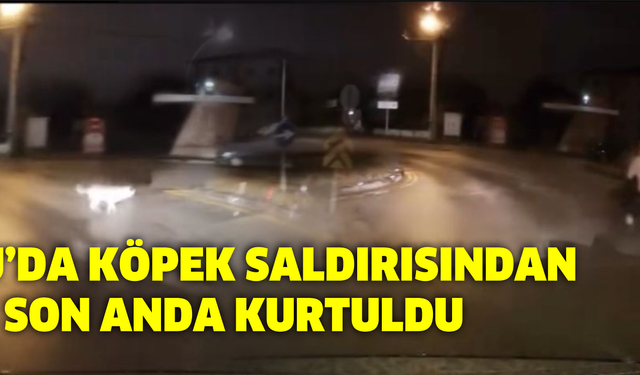 Bolu’da Köpek Saldırısından Son Anda Kurtuldu