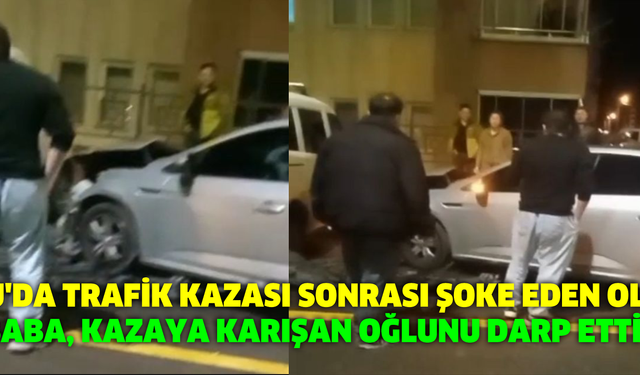 Bolu'da Trafik Kazası Sonrası Şoke Eden Olay: Baba, Kazaya Karışan Oğlunu Darp Etti