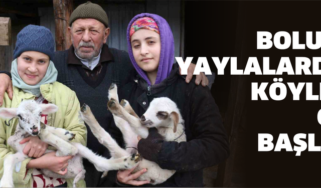 Bolu’da yaylalardan köylere göç başladı