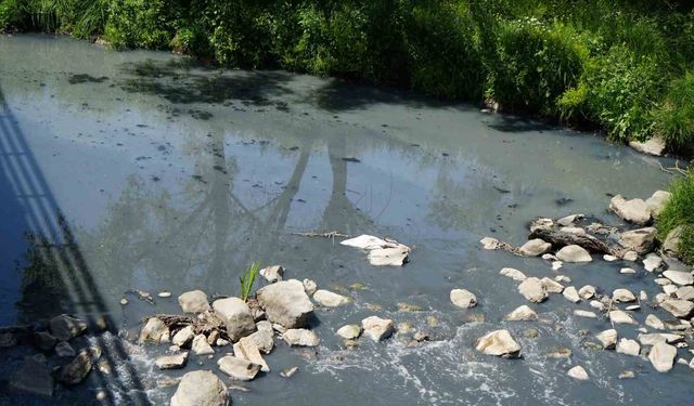 Gerede’de fabrikaların zehrini kustuğu derenin yeniden davası görülecek