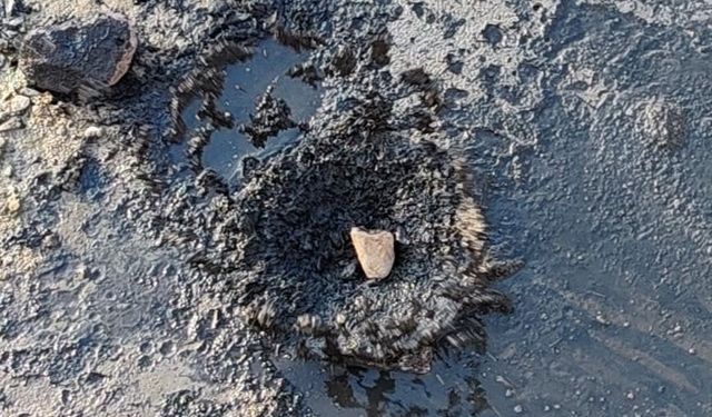 Gerede’de fabrikaların zehrini kustuğu derenin yeniden davası görülecek