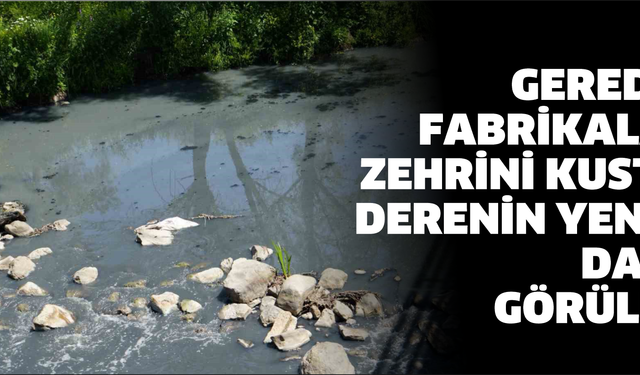 Gerede’de fabrikaların zehrini kustuğu derenin yeniden davası görülecek