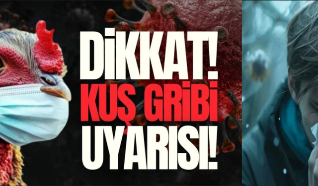 Bolu’da üreticilere kuş gribi uyarısı