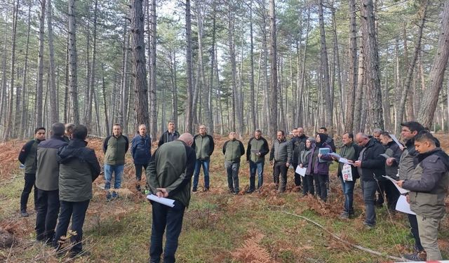 Sağlıklı ormanlar için ekipler sahaya indi