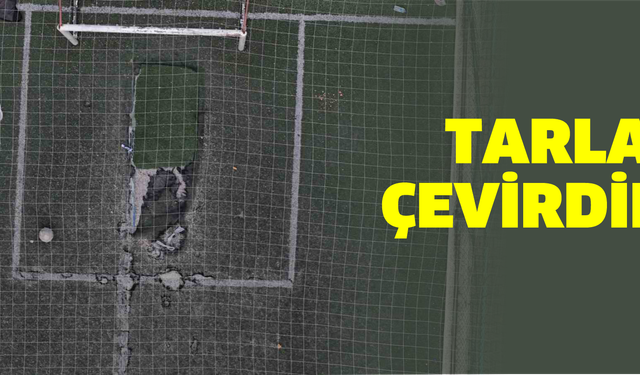 Parktaki halı sahayı, tarlaya çevirdiler