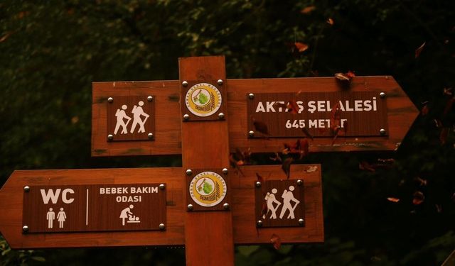 Aktaş şelalesinin doğal güzelliği paylaşıldı