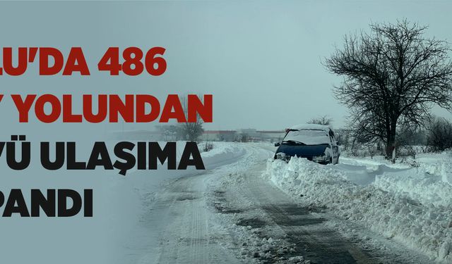 Bolu'da 486 köy yolundan 263'ü ulaşıma kapandı