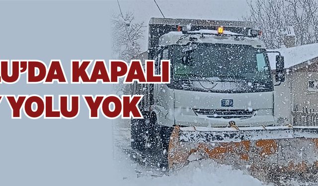 Bolu’da kar seferberliği: Kapalı köy yolu yok