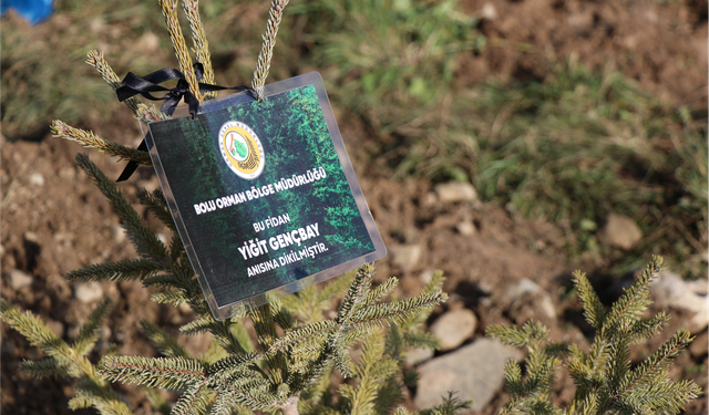 Otel faciasında yaşamını yitiren 78 kişi için hatıra ormanı