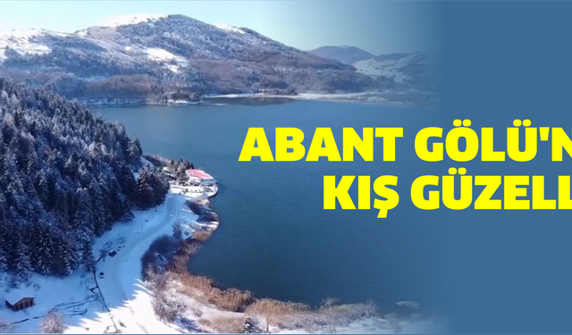 Abant Gölü'nde kış güzelliği