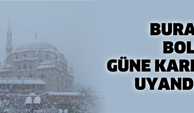 BURASI BOLU: GÜNE KARLA UYANDIK