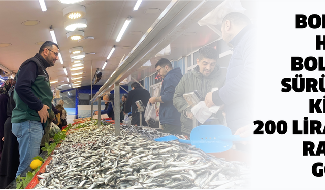Bolu'da hamsi bolluğu sürüyor: Kilosu 200 liradan rağbet gördü