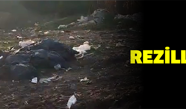 Ormanlık alanı çöplüğe çevirdiler