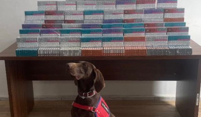 Bolu’da Kaçakçılığa Büyük Darbe: 36 Bin Elektronik Sigara Kiti Ele Geçirildi