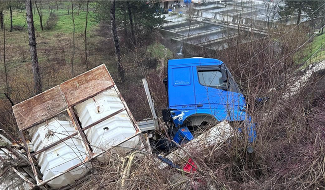 Bolu’da tır şarampole devrildi, elektrik direği zarar gördü