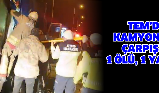 TEM’de kamyonlar çarpıştı: 1 ölü, 1 yaralı