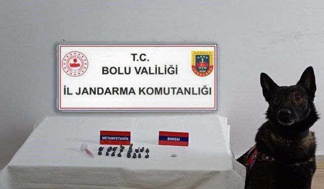 Bolu’da uyuşturucu operasyonu