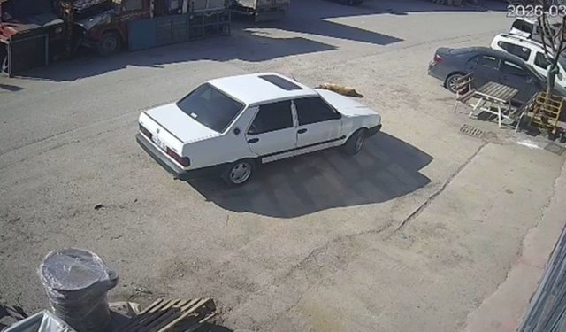 Yolda yatan köpeği ezdi, arkasına bakmadan uzaklaştı