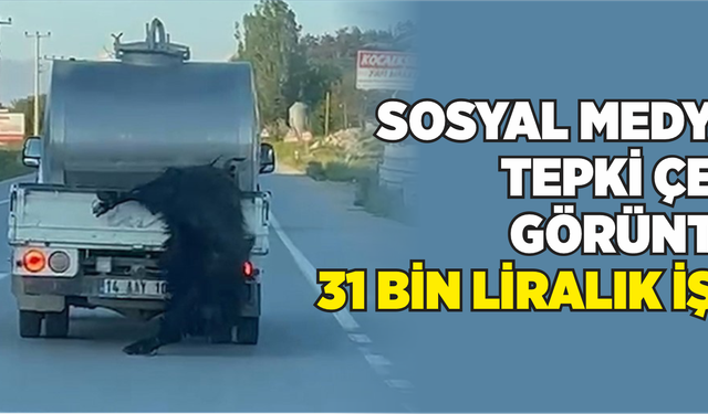 Sosyal Medyada Tepki Çeken Görüntüye 31 Bin Liralık İşlem