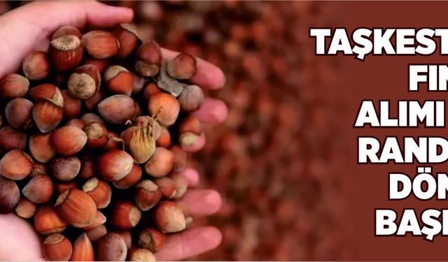 Taşkesti’de Fındık Alımı İçin Randevu Dönemi Başladı