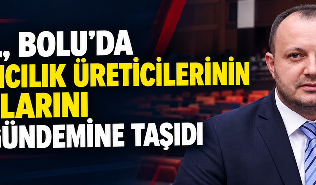 AKGÜL, BOLU’DA HAYVANCILIK ÜRETİCİLERİNİN SORUNLARINI TBMM GÜNDEMİNE TAŞIDI
