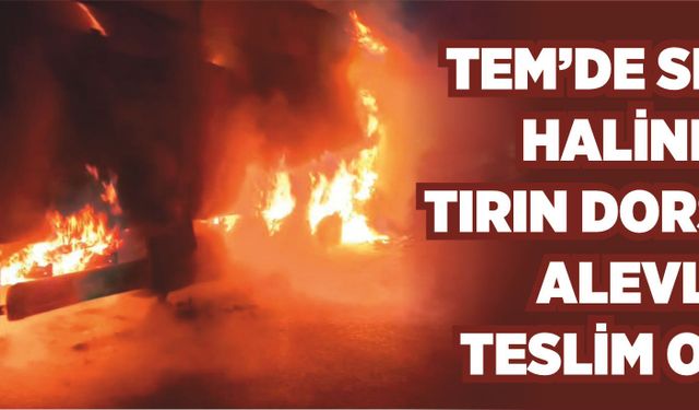 TEM’de seyir halindeki tırın dorsesi alevlere teslim oldu