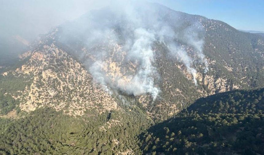 Bolu'daki orman yangını 3'üncü gününde kontrol altına alındı