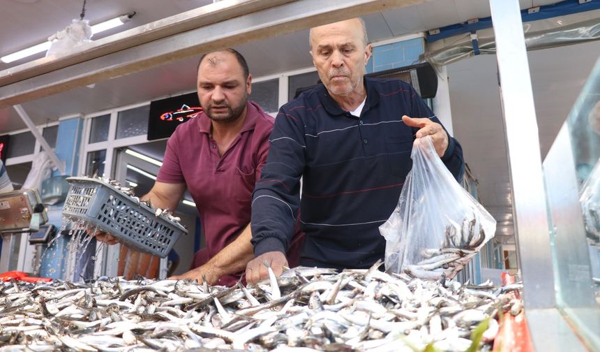 Bolu'da hamsinin fiyatı 50 lira birden düştü