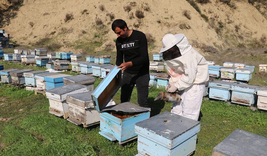 Arılı Kovan Destekleme başvuruları başladı