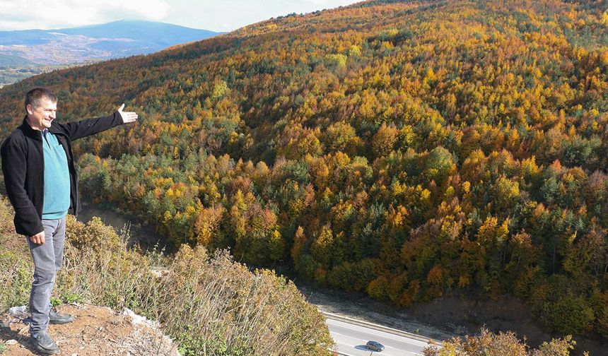 Bolu'nun yükseklerinde renk cümbüşü