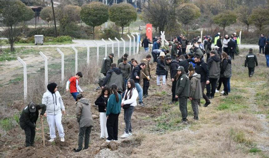 Mengen’de fidanlar toprakla buluştu