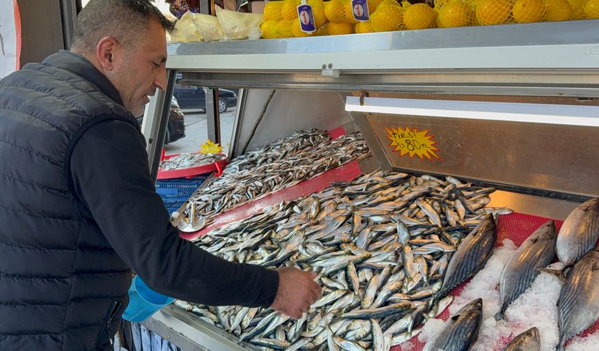 Balık tezgahları şenlendi