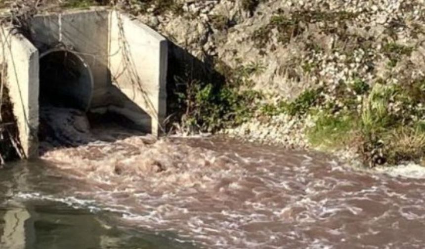 Büyüksu ve Gerede Çayını Meclis Başkanlığına Taşıdı