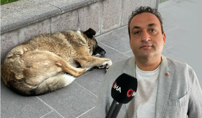 Uzmanı uyardı: "Keneler yeni konakçı arayabilir"