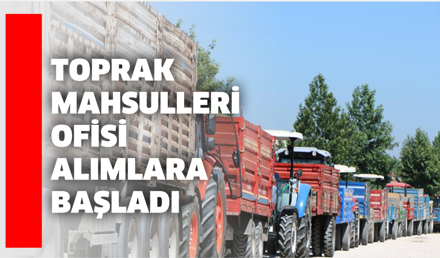 Toprak Mahsulleri Ofisi Alımlara Başladı