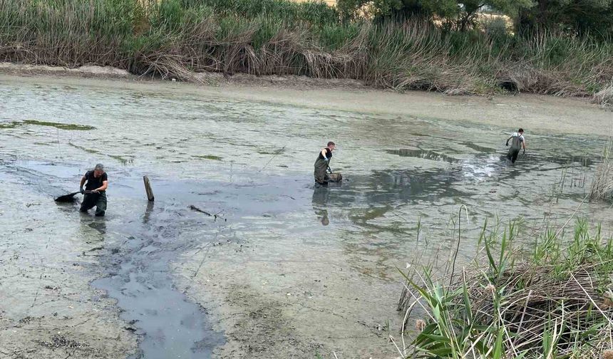 Bolu’da, kuruyan gölette mahsur kalan balıklar kurtarıldı
