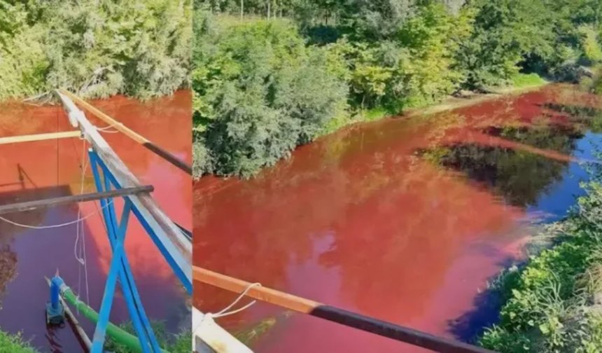 Mudurnu Deresi'nde kirlilik oranı 40 kat fazla çıktı