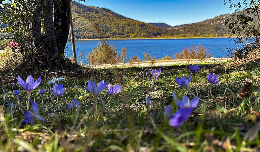 Abant Gölü Milli Parkı’nda renk cümbüşü