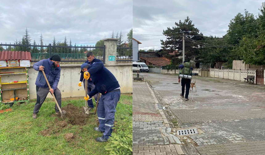 71. fidanını Bolu’da dikti