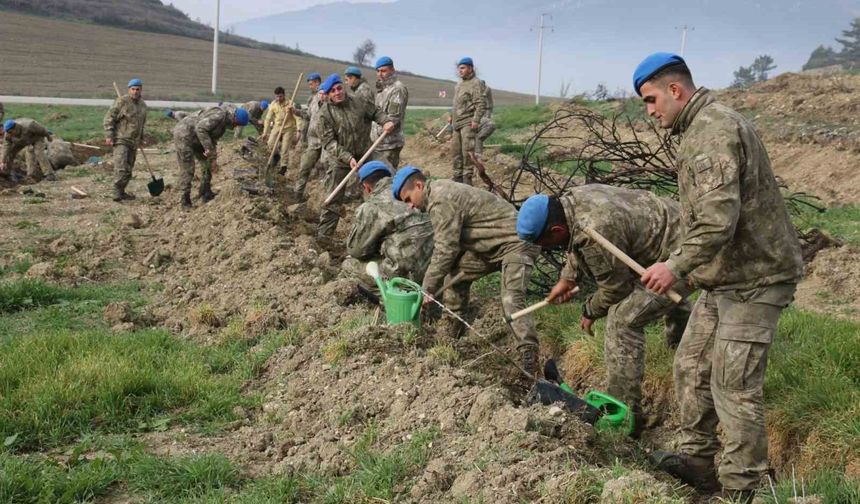 Bolu komando bu defa operasyona çıkmadı