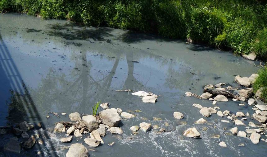 Gerede’de fabrikaların zehrini kustuğu derenin yeniden davası görülecek