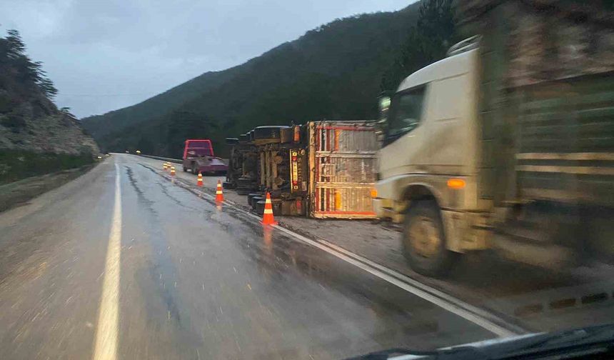 Bolu’da odun yüklü tır devrildi