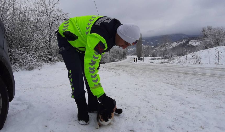 Mudurnu Jandarmasından İnsanlık Dersi: Soğuk Havada Bir Canı Yalnız Bırakmadılar