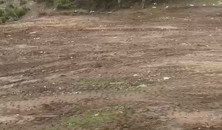 Ormanlık alanı çöplüğe çevirdiler