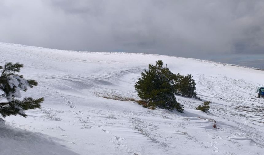 Bolu'da soğuk hava ağaçları dondurdu